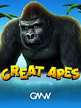 pp image