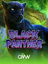 pp image